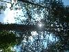 2003_0720_150945AA.jpg